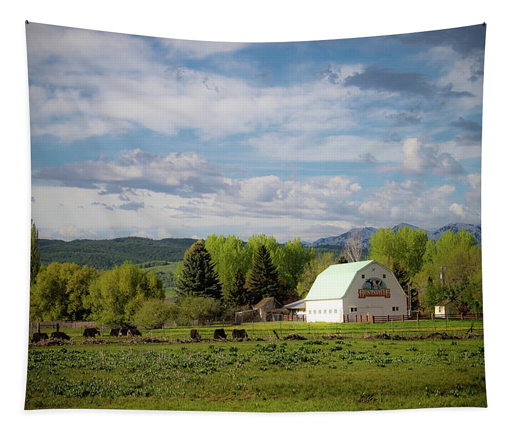 Utah Tapestry featuring the photograph Farm Country by Pam Rendall