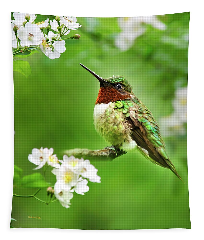Hummingbird Tapestry featuring the photograph Fauna and Flora - Hummingbird with Flowers by Christina Rollo