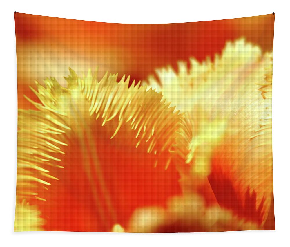 Tulip Tapestry featuring the photograph Feathered Petals by Lens Art Photography By Larry Trager