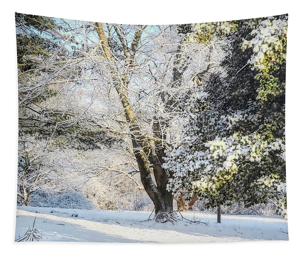 Winter Tapestry featuring the photograph February Chill by Susan Hope Finley