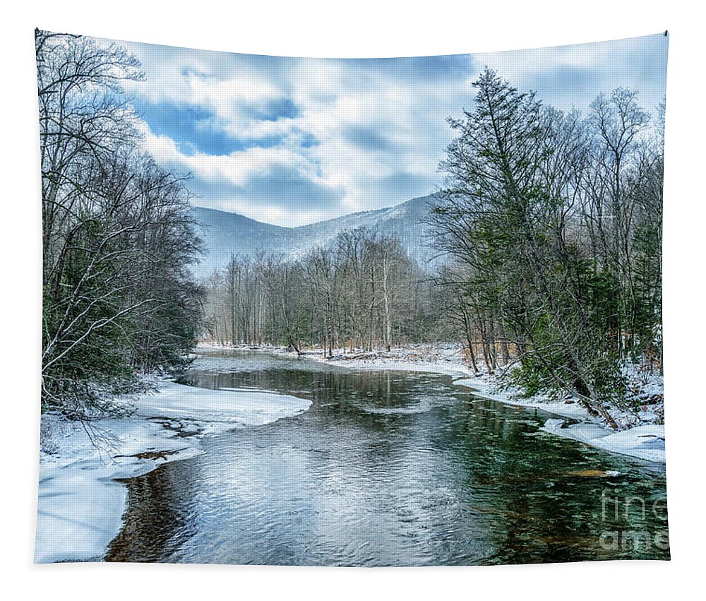 Williams River Tapestry featuring the photograph February Day along Williams River by Thomas R Fletcher