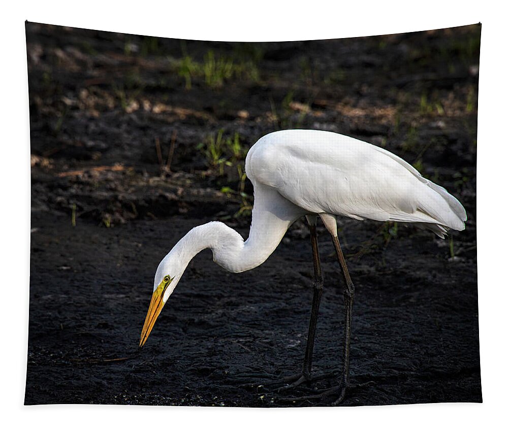 Egret Tapestry featuring the photograph Feeding by M Kathleen Warren
