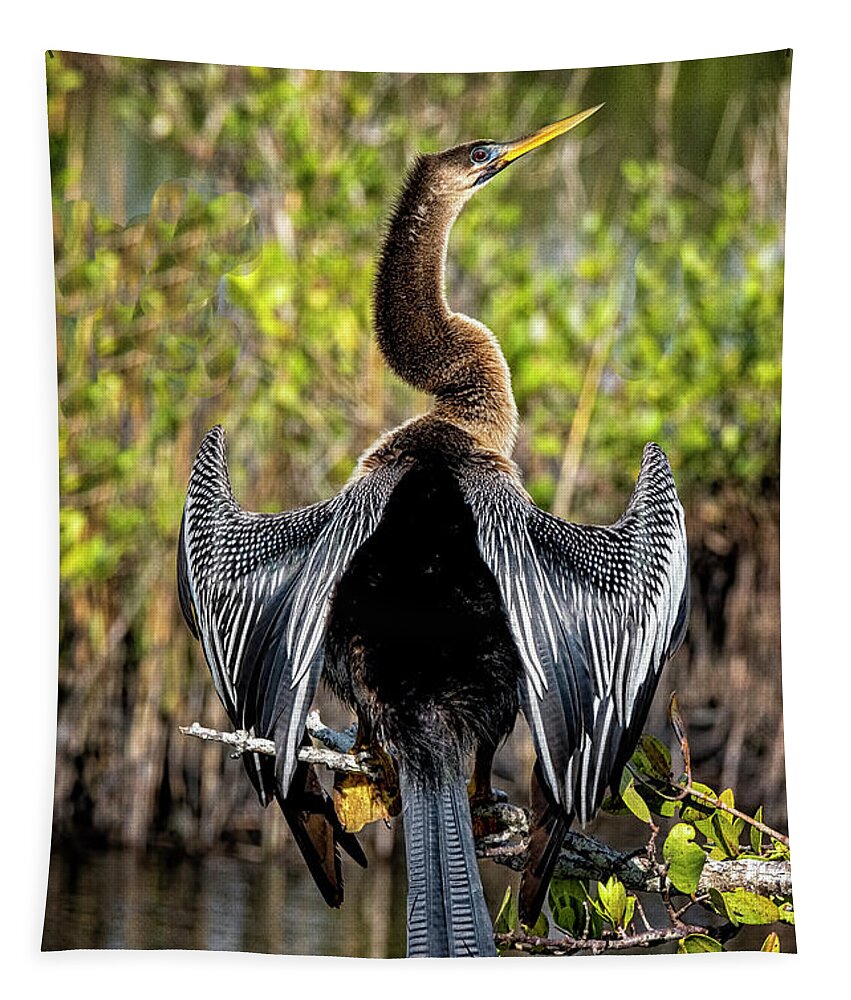 Yard Animals Tapestry featuring the photograph Female Anhinga by Tom Singleton