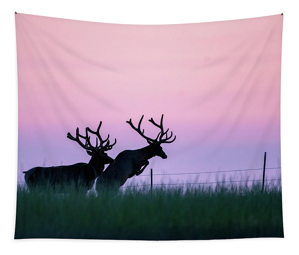 Elk Tapestry featuring the photograph Fence Hopping Bull Elk by Gary Beeler