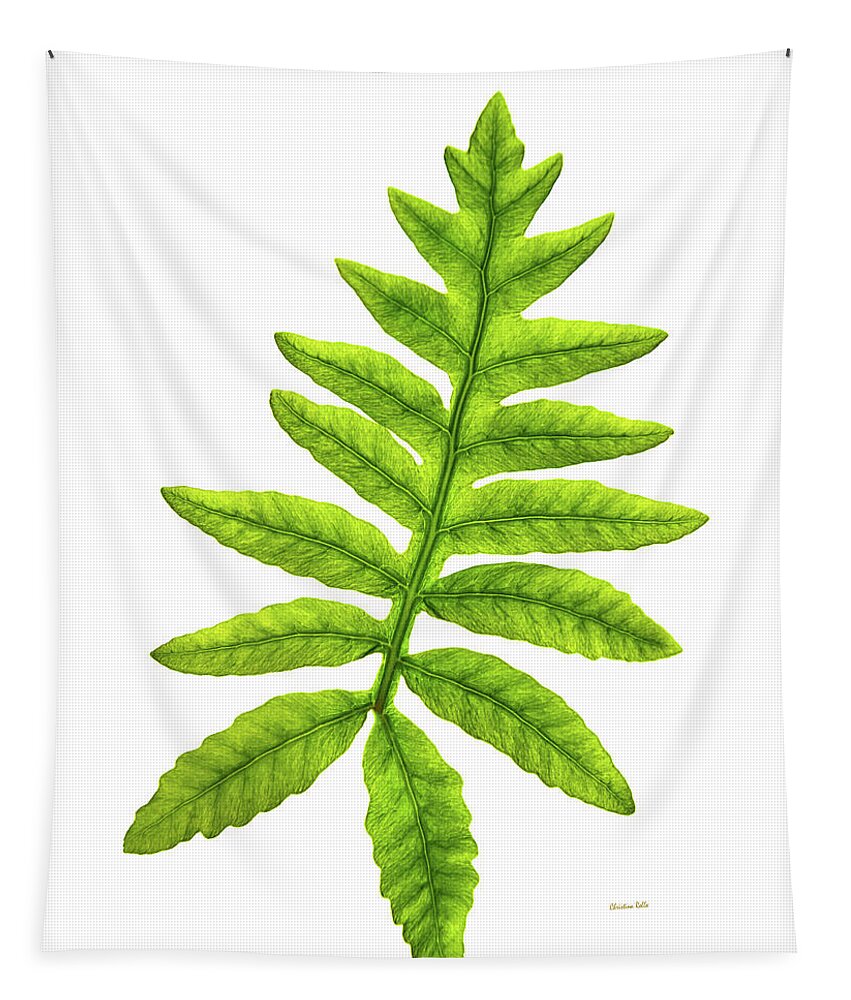 Fern Tapestry featuring the photograph Fern by Christina Rollo