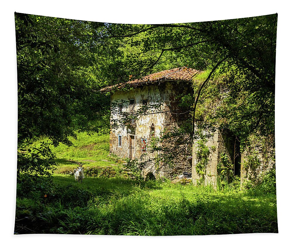 Old House Tapestry featuring the photograph Ferriera de Olazarra - Artzubi forest by Micah Offman