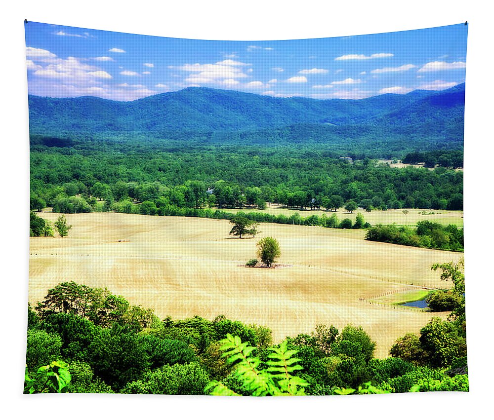 Color Tapestry featuring the photograph Fertile Fields by Alan Hausenflock