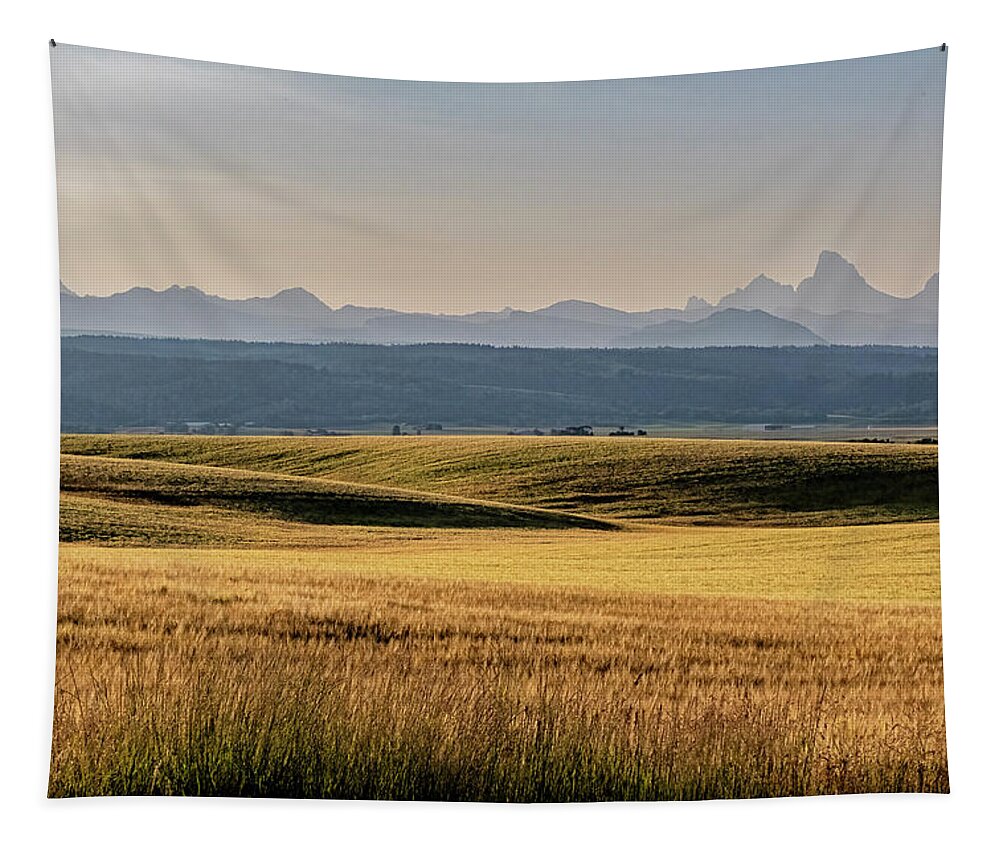 Montezuma's Castle Tapestry featuring the photograph Field And Tetons by Tom Singleton