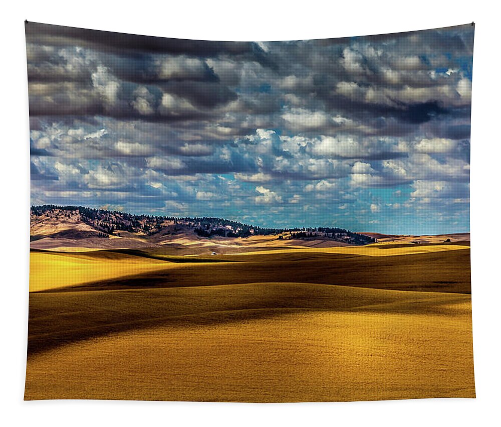 Field Shadows Tapestry featuring the photograph Field Shadows by David Patterson