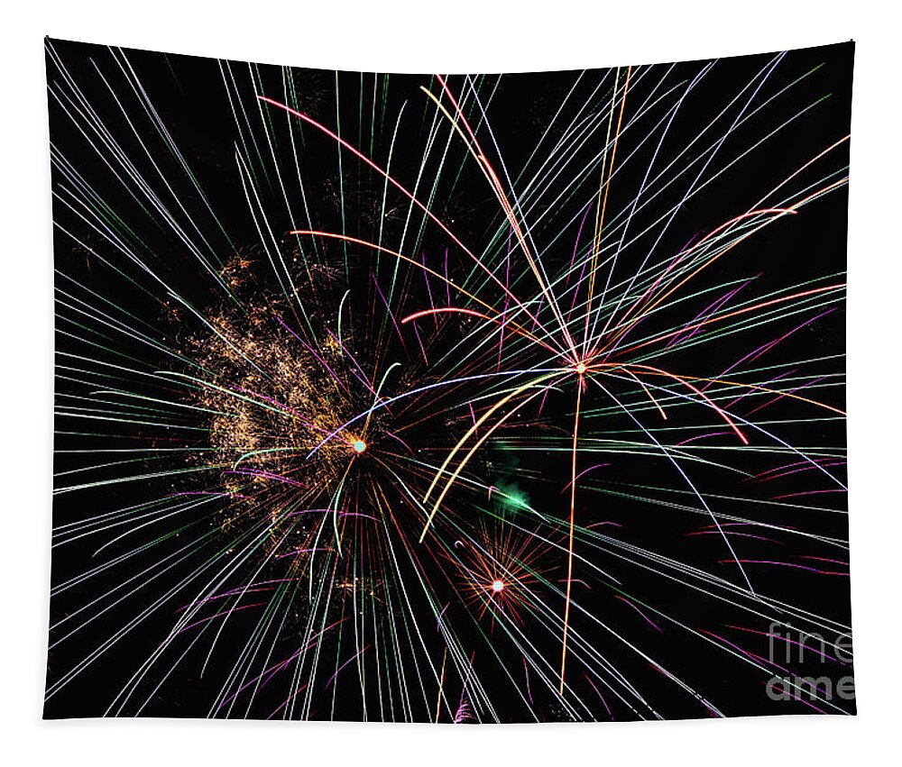 Symphony Tapestry featuring the photograph Finale of Color by Amy Dundon