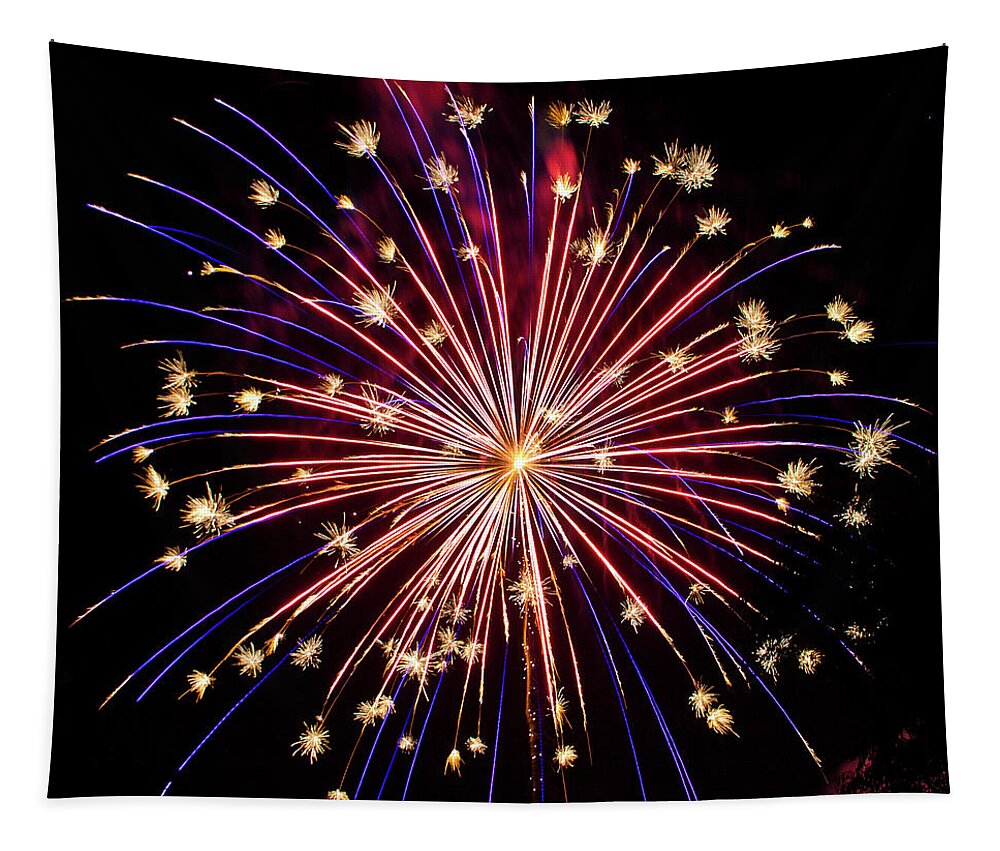 Fireworks Tapestry featuring the photograph Fireworks by Patti Deters