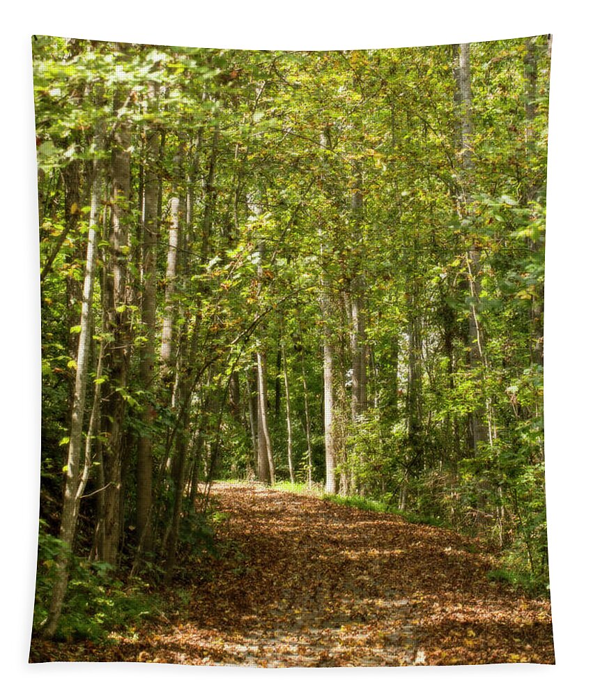 Arcing Tapestry featuring the photograph First Day of Fall Glows by Charles Floyd