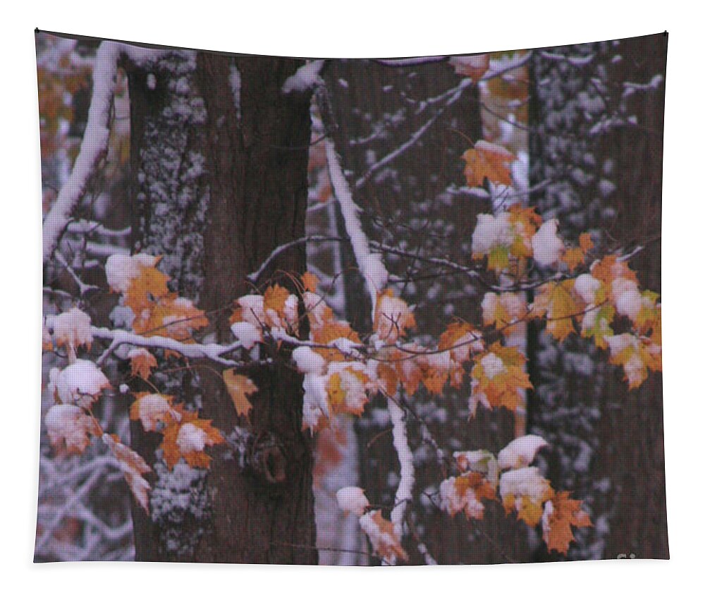 Snow Tapestry featuring the photograph First Snow by Patricia Overmoyer