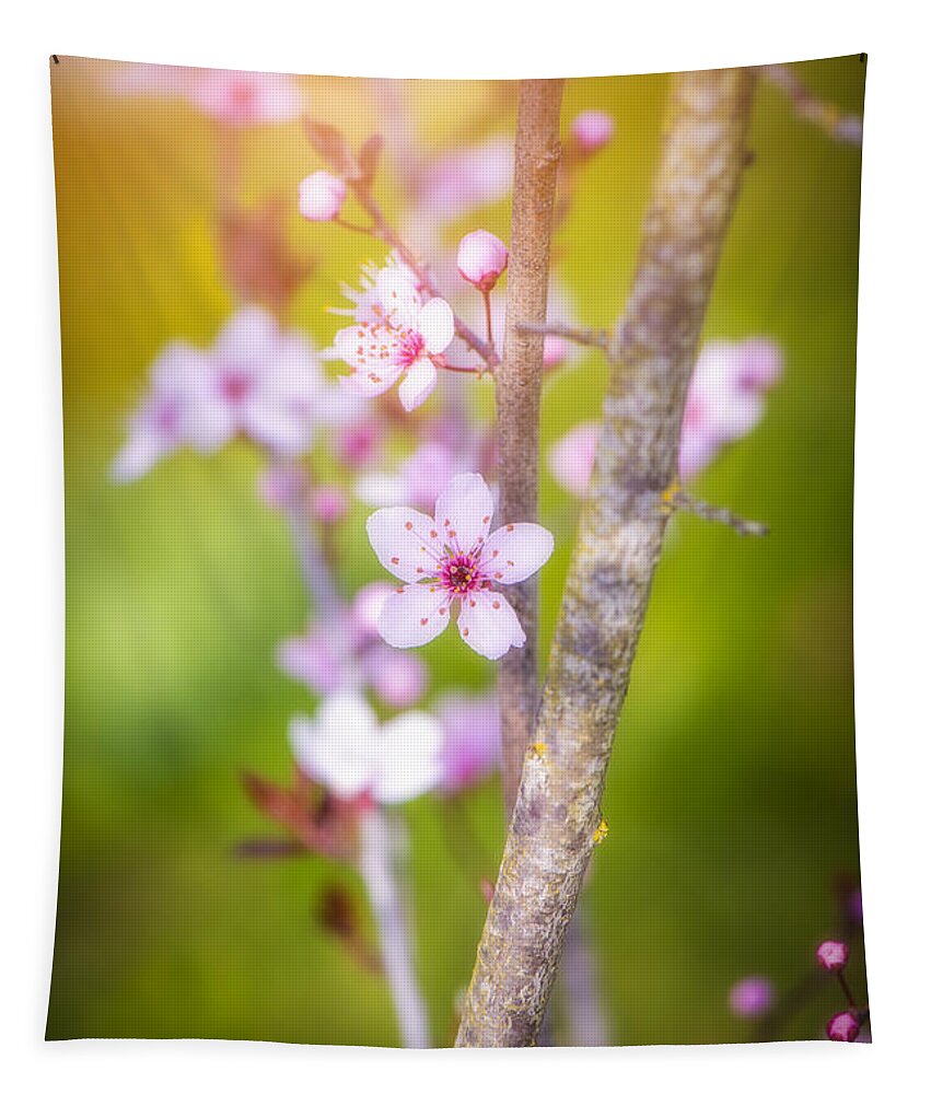 Spring Tapestry featuring the photograph First Spring Day by Philippe Sainte-Laudy