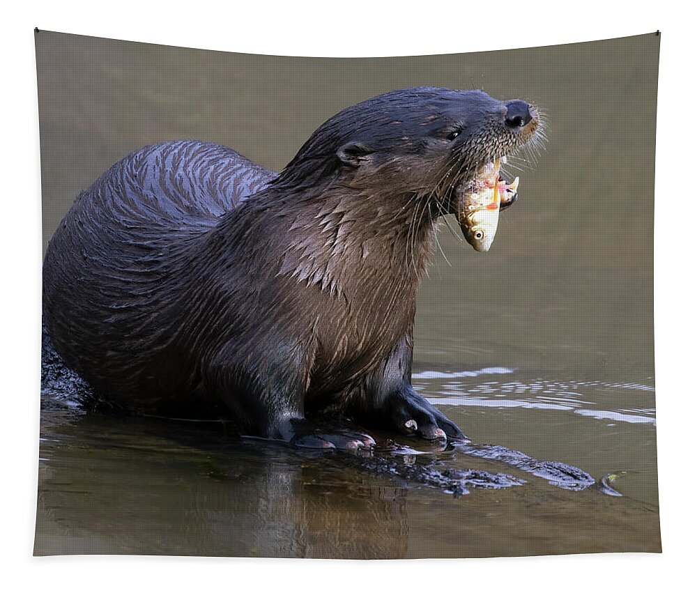 Otter Tapestry featuring the photograph Fish Crunch by Art Cole