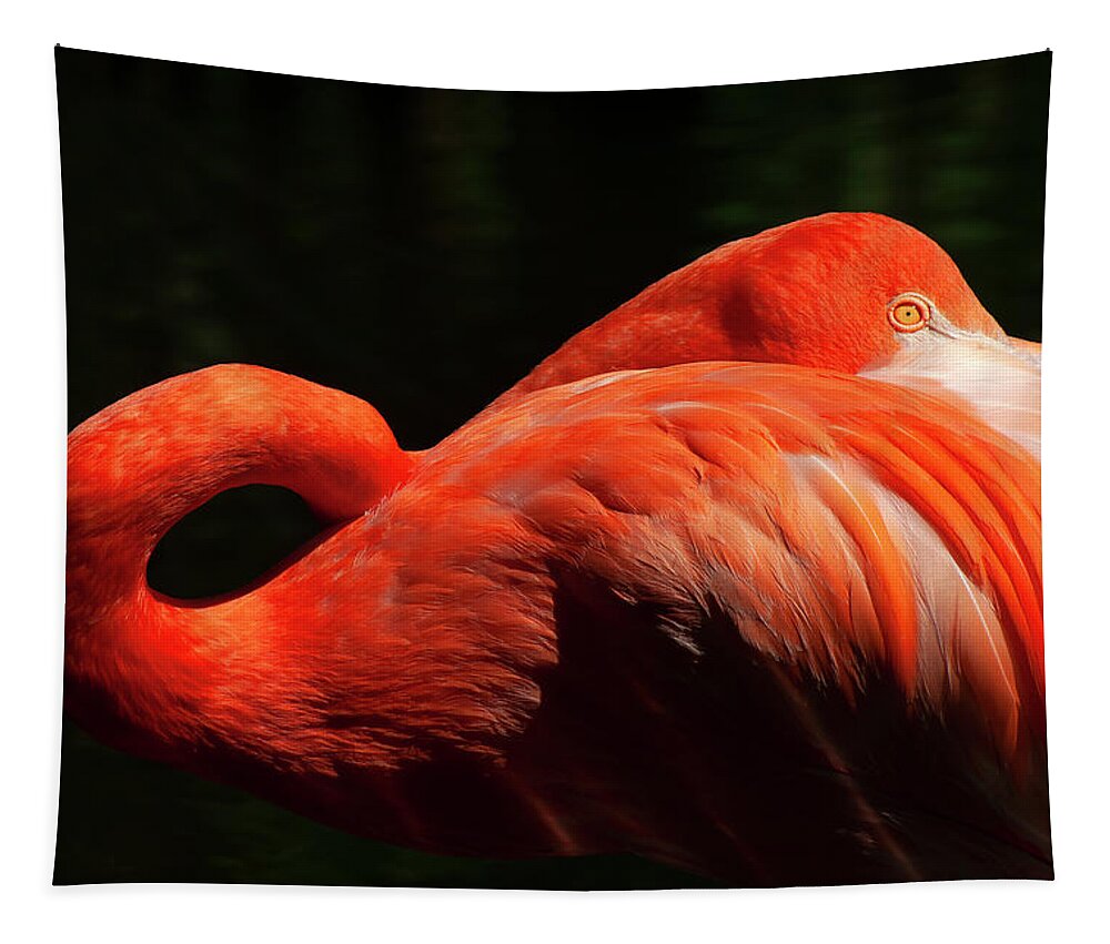 Flamingo Tapestry featuring the photograph Flamboyant Flamingo by Louise Tanguay