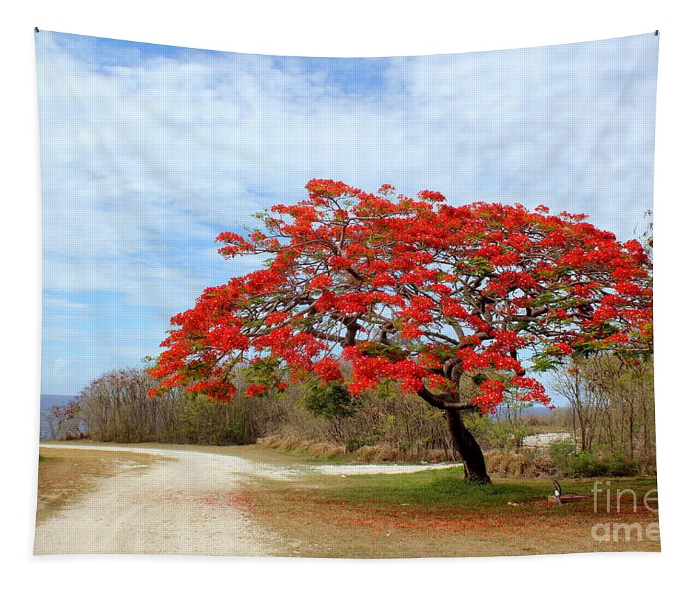 Blooms Tapestry featuring the photograph Flame tree in Full Bloom by On da Raks