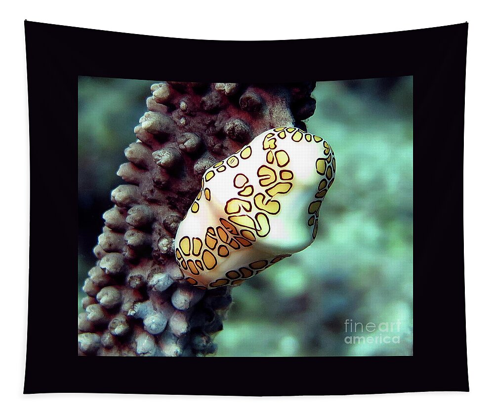 Underwater Tapestry featuring the photograph Flamingo Tongue 14 by Daryl Duda