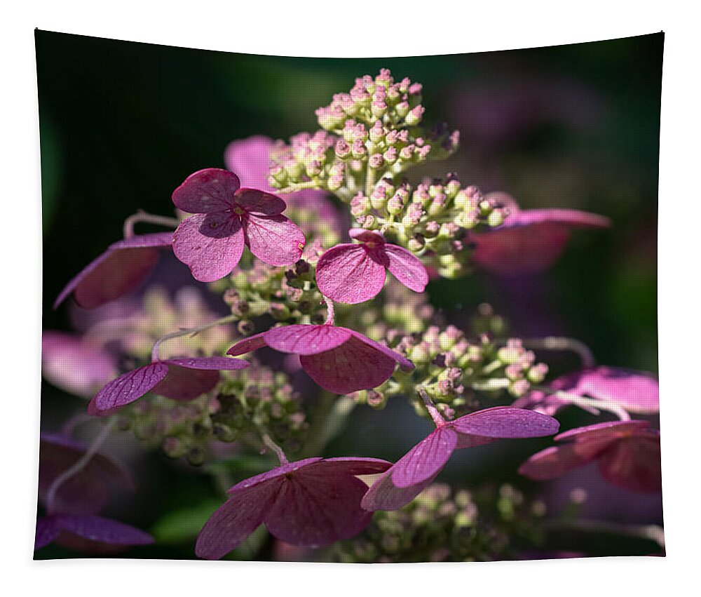 Flower Tapestry featuring the photograph Flare for the Dramatic by Linda Bonaccorsi