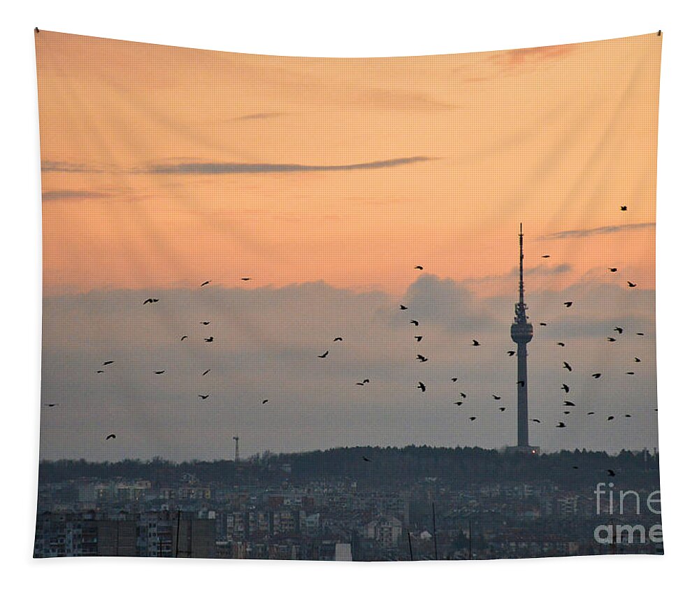 Tv Tower Tapestry featuring the photograph Flight along the tv tower by Yavor Mihaylov