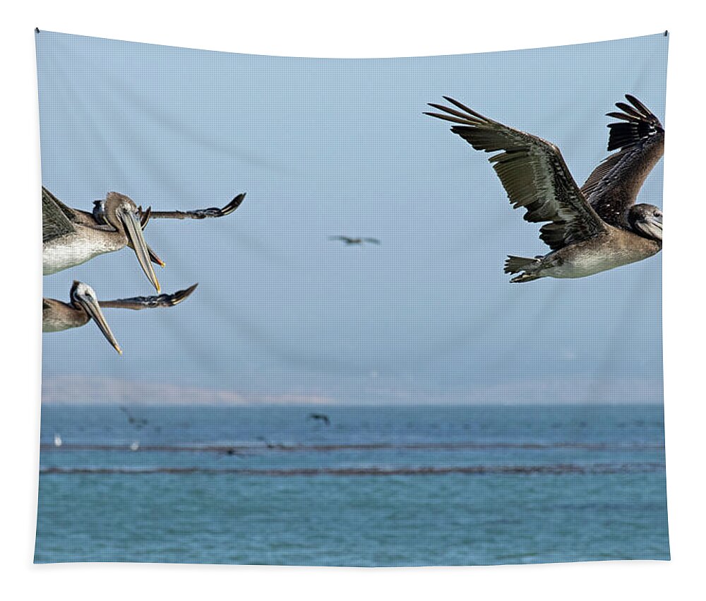 Pelican Tapestry featuring the photograph Flight of the Pelicans by Sue Cullumber