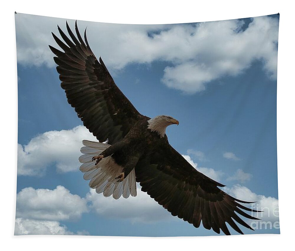 Eagle Tapestry featuring the photograph Flight by Veronica Batterson