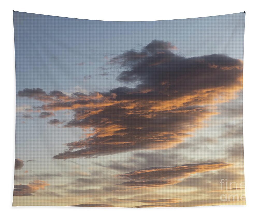 Clouds Tapestry featuring the photograph Cloud at sunset, like a bird by Adriana Mueller