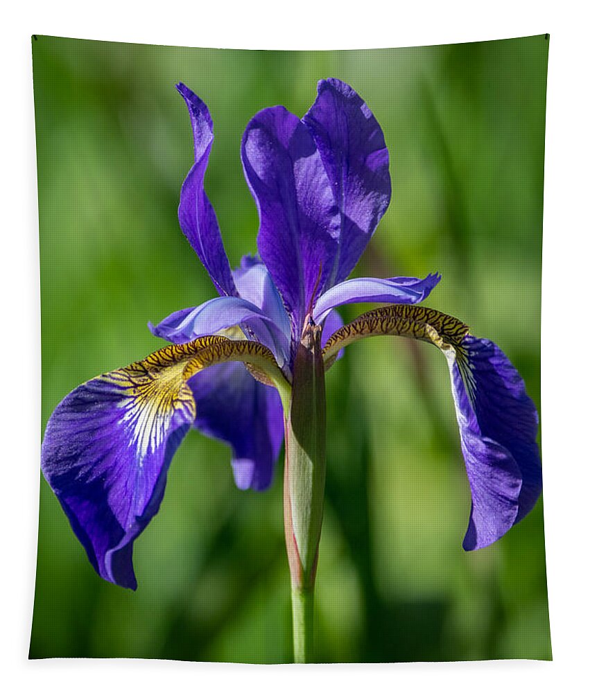 Flower Tapestry featuring the photograph Floating Flower by Linda Bonaccorsi