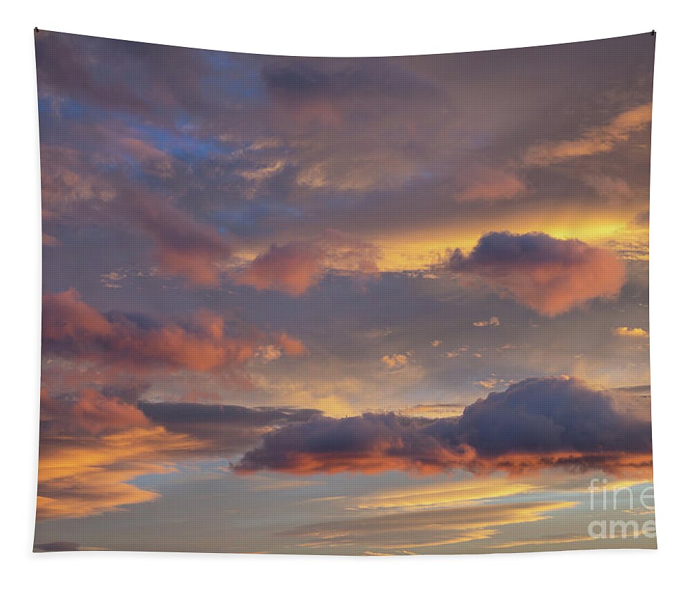 Clouds Tapestry featuring the photograph Floating in the clouds by Adriana Mueller