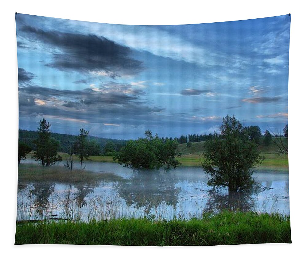 Water Tapestry featuring the photograph Floodwaters by Donald J Gray