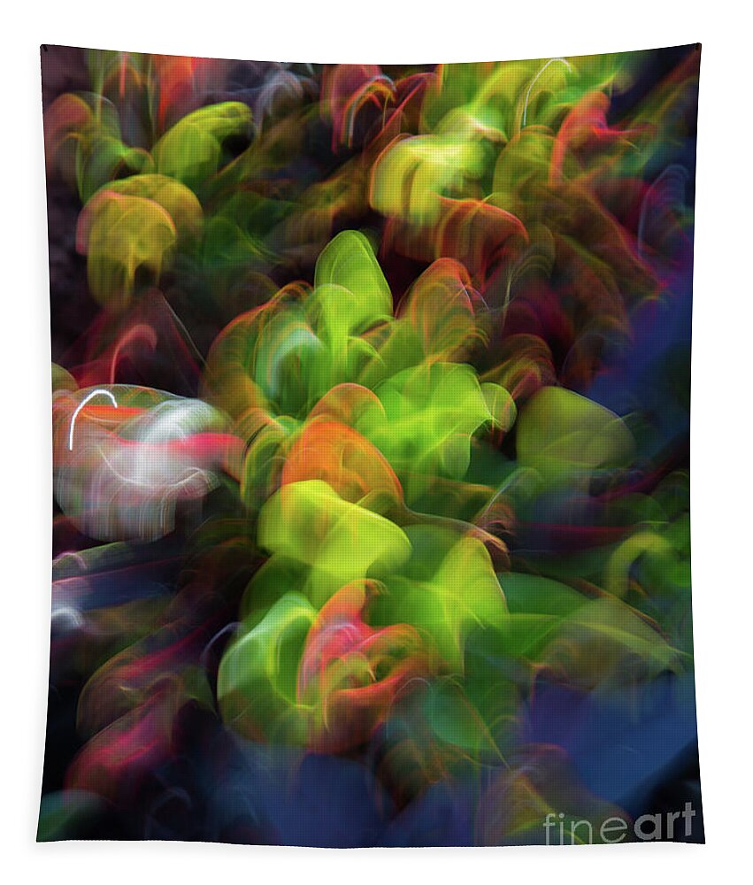 Colors Tapestry featuring the photograph Floral Rainbow by Neala McCarten