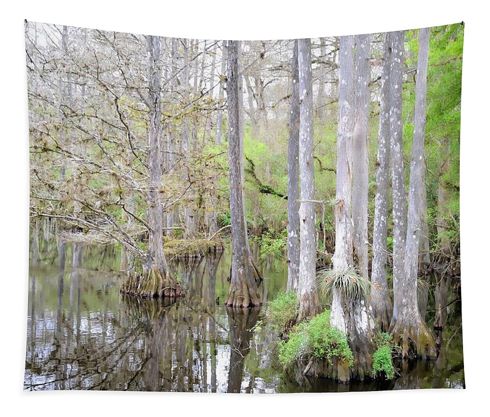 Preserve Tapestry featuring the photograph Florida Preserve by Alison Belsan Horton