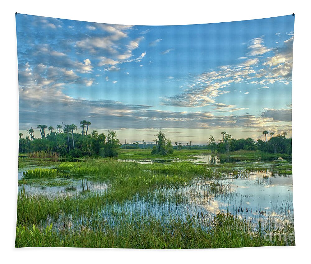 Usa Tapestry featuring the photograph Floridian Nature by Brian Kamprath