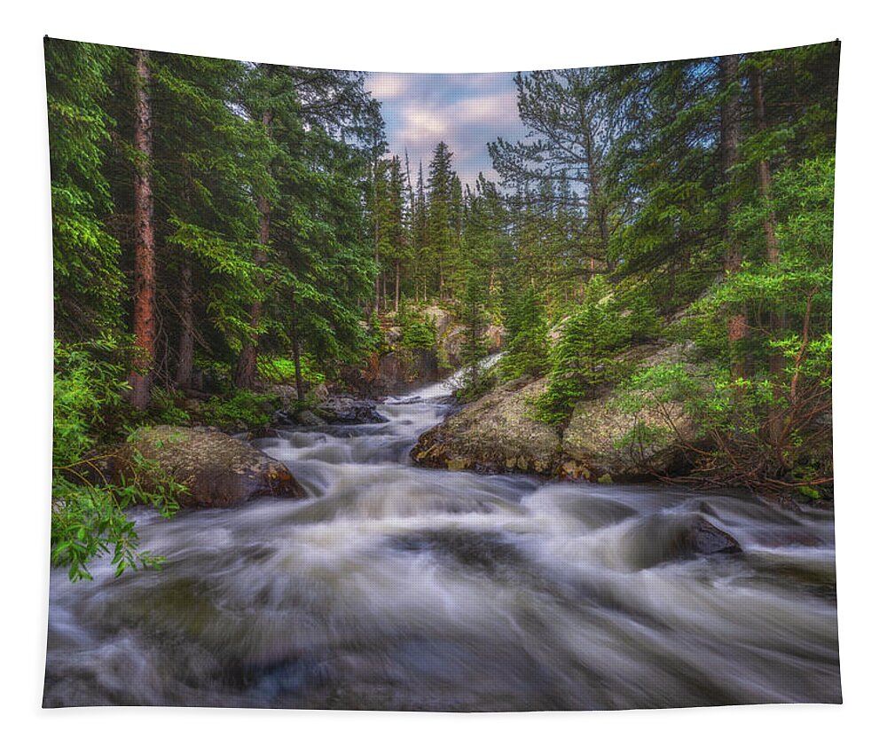 Colorado Tapestry featuring the photograph Flow of the Forest by Darren White