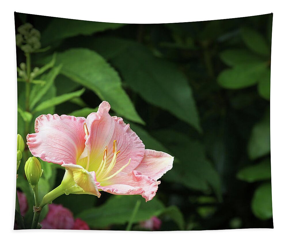 Daylily Tapestry featuring the photograph Flower in the Rest Area by Robert Carter