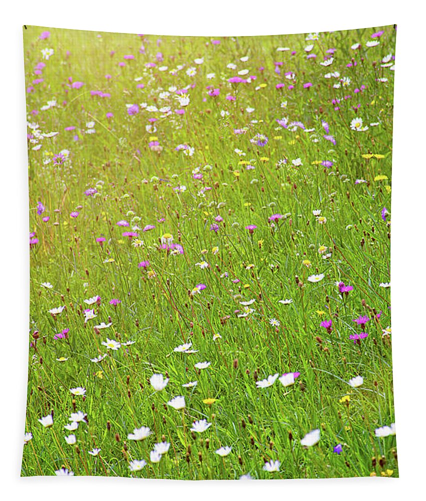 Idyllic Tapestry featuring the photograph Flower meadow in sunlight by Bernhard Schaffer
