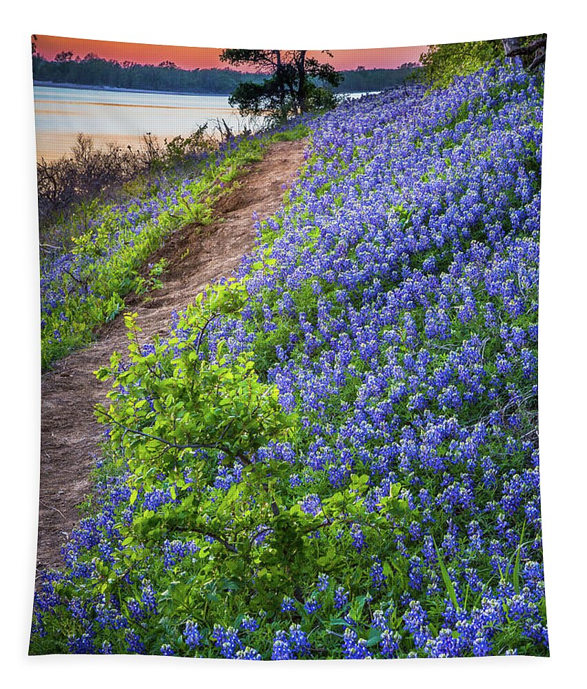 America Tapestry featuring the photograph Flower Mound by Inge Johnsson