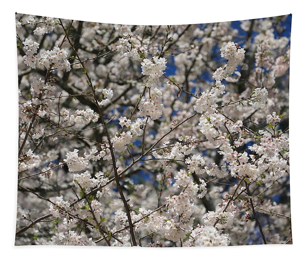 Flowering Cherry Tapestry featuring the photograph Flowering Cherry Tree by Richard Krebs
