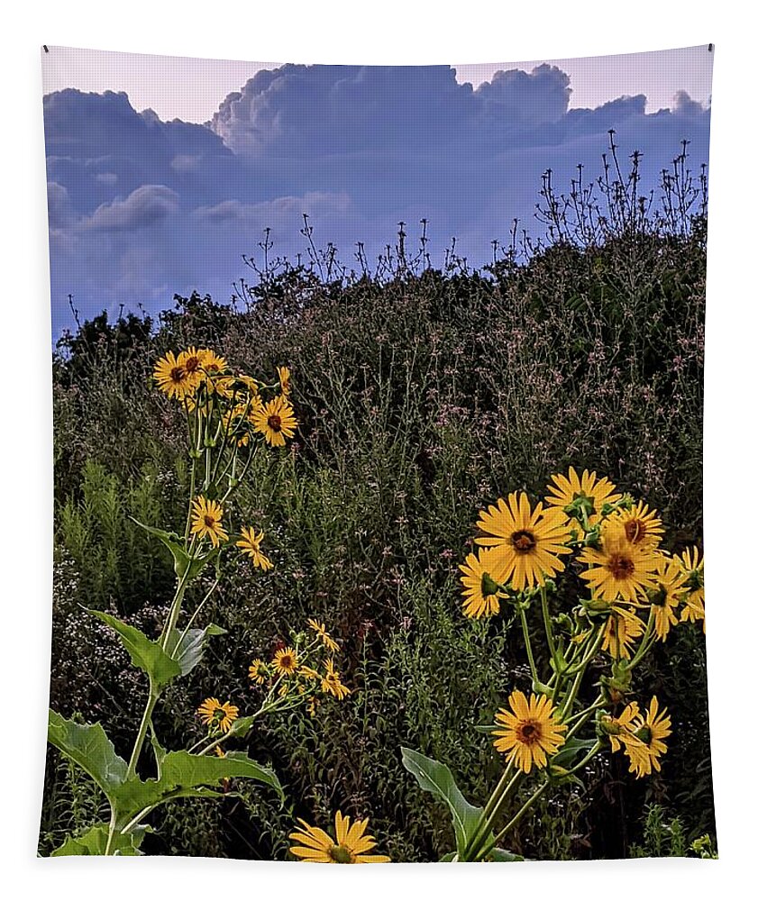  Tapestry featuring the photograph Flowers at Brandywine Falls by Brad Nellis