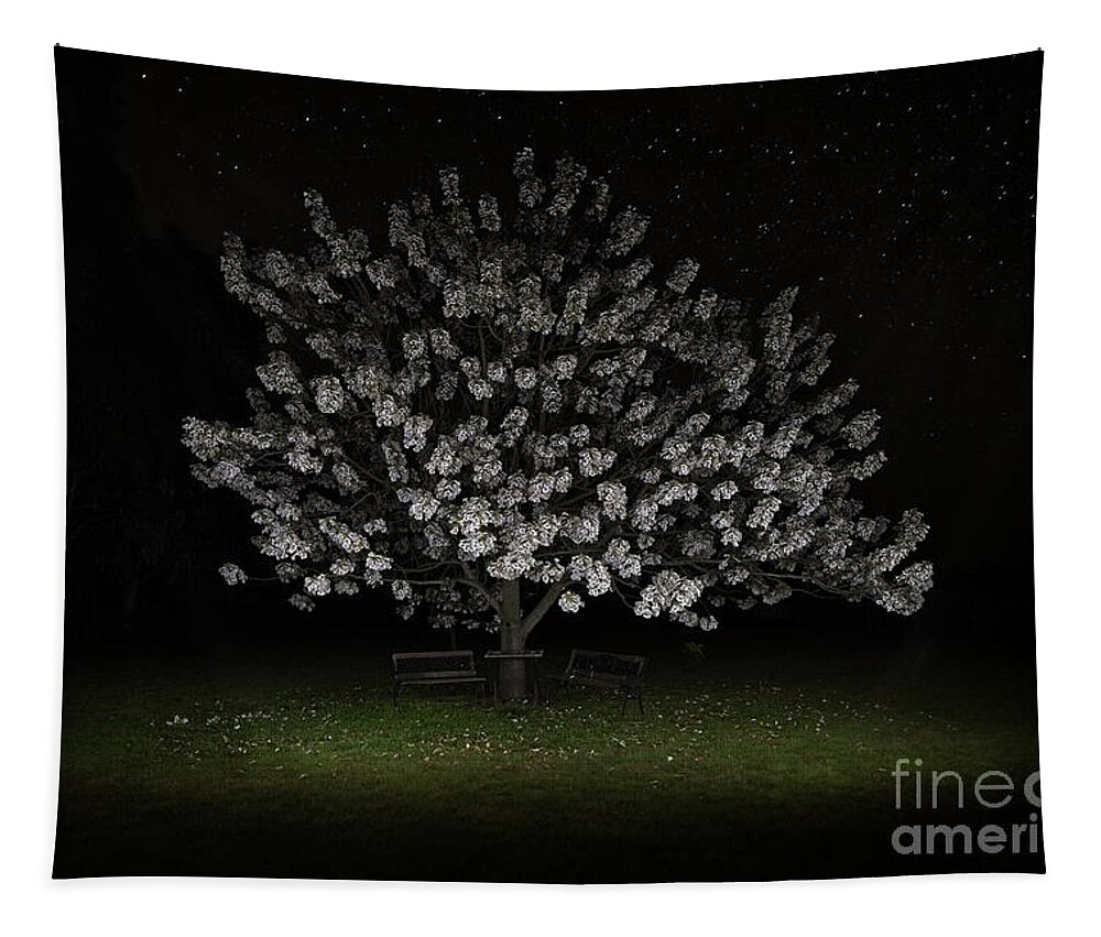 Flowers Tapestry featuring the photograph Flowers by Starlight by Linda Lees