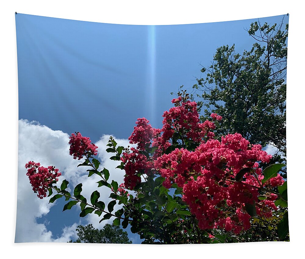 Flower Tapestry featuring the photograph Flowers Pierced By The Sun by Lee Darnell
