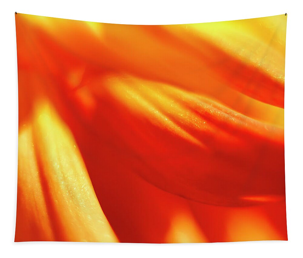 Orange Tapestry featuring the photograph Flowing Petals by Tony Locke