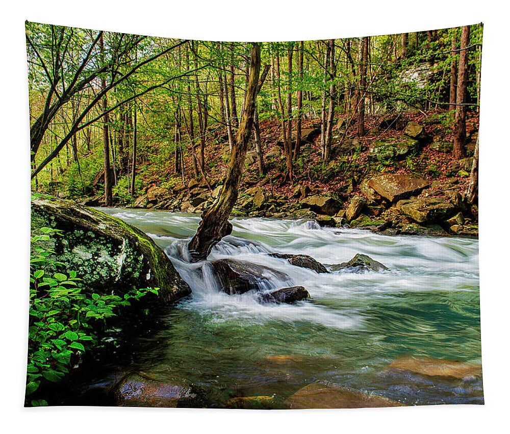 Stream Tapestry featuring the photograph Flowing River by Lisa Lambert-Shank