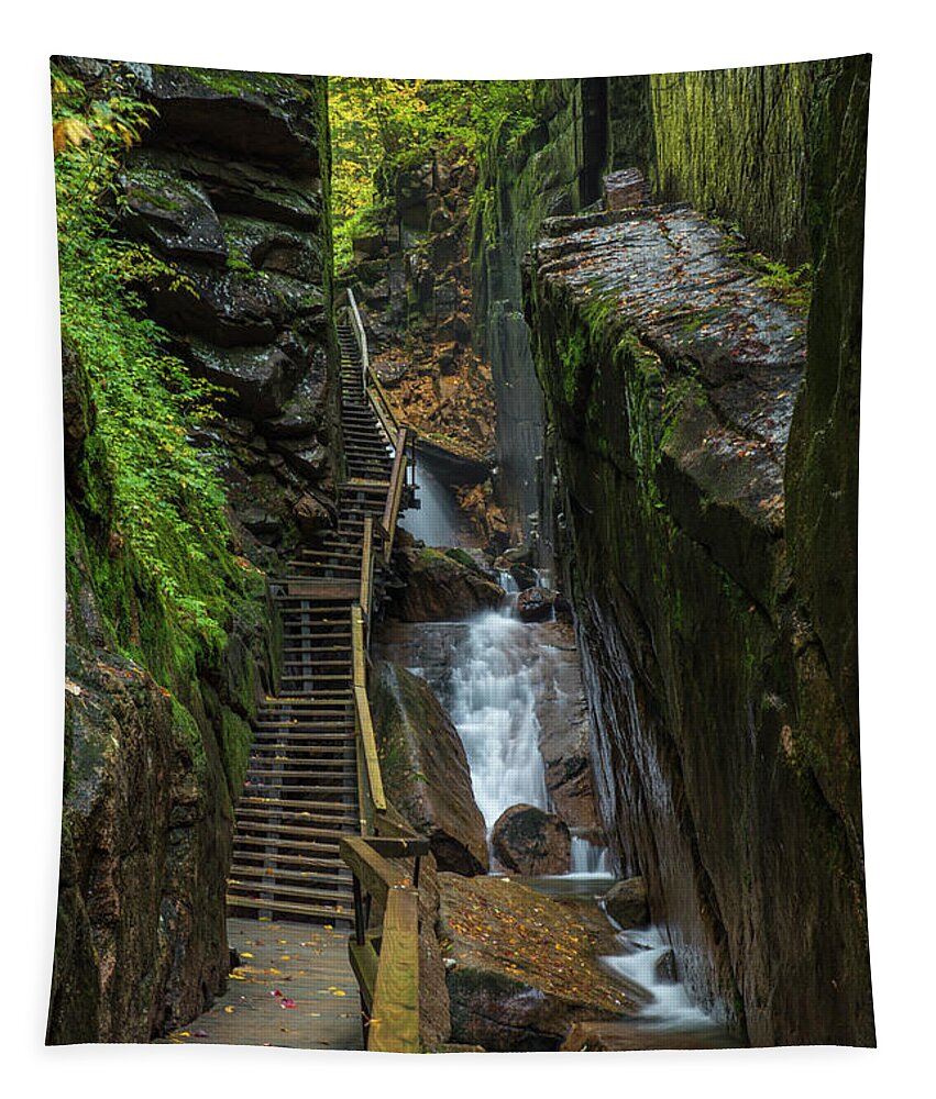 Flume Gorge Tapestry featuring the photograph Flume Gorge Walkway by White Mountain Images