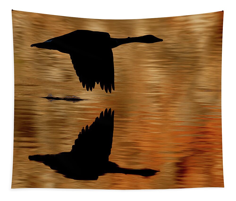 Flying Tapestry featuring the photograph Flying Goose silhouette by Gary Langley