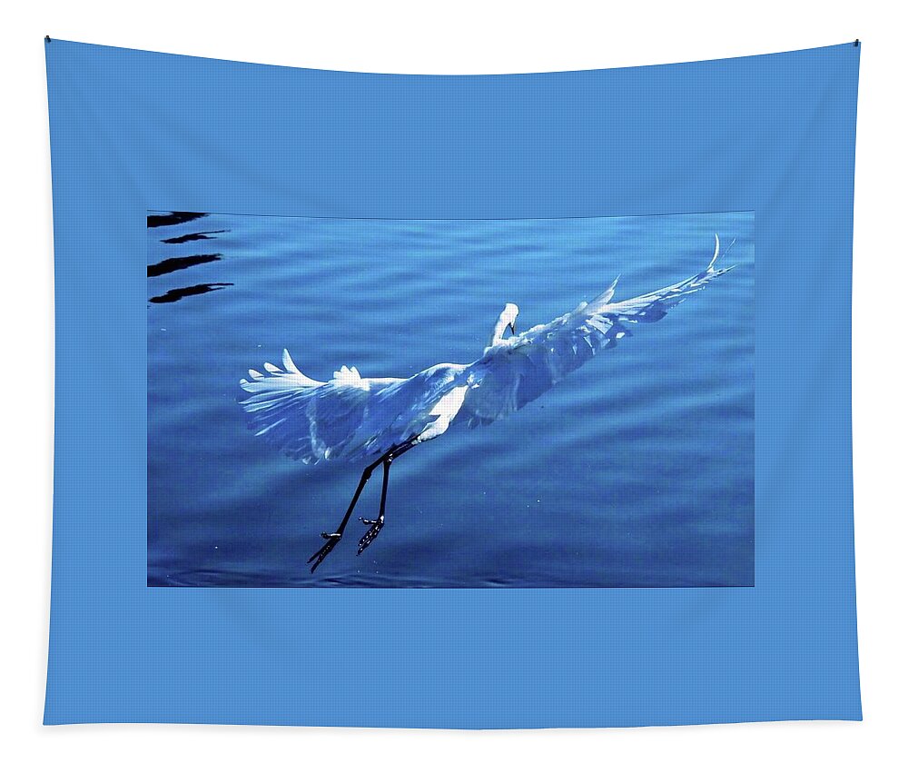 White Egret Flying Water Lake Tapestry featuring the digital art Flying white egret by Kathleen Boyles