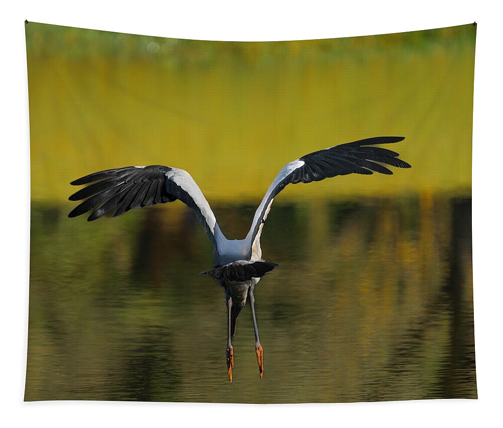 Birds Tapestry featuring the photograph Flying Wood Stork by Larry Marshall