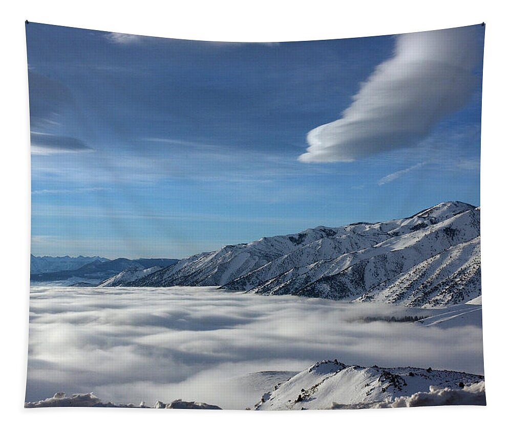 Fog Tapestry featuring the photograph Fog Blanket - Mono Lake - Pogonip by Bonnie Colgan