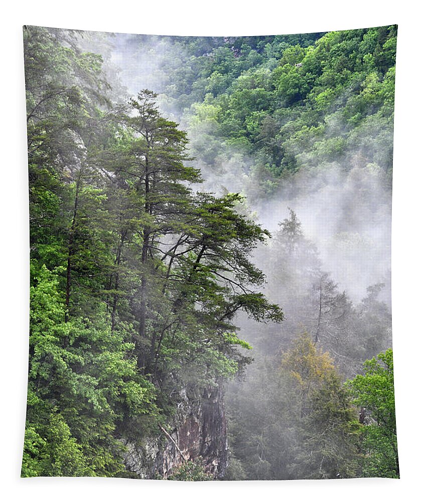 Fall Creek Falls Tapestry featuring the photograph Fog In Valley 2 by Phil Perkins
