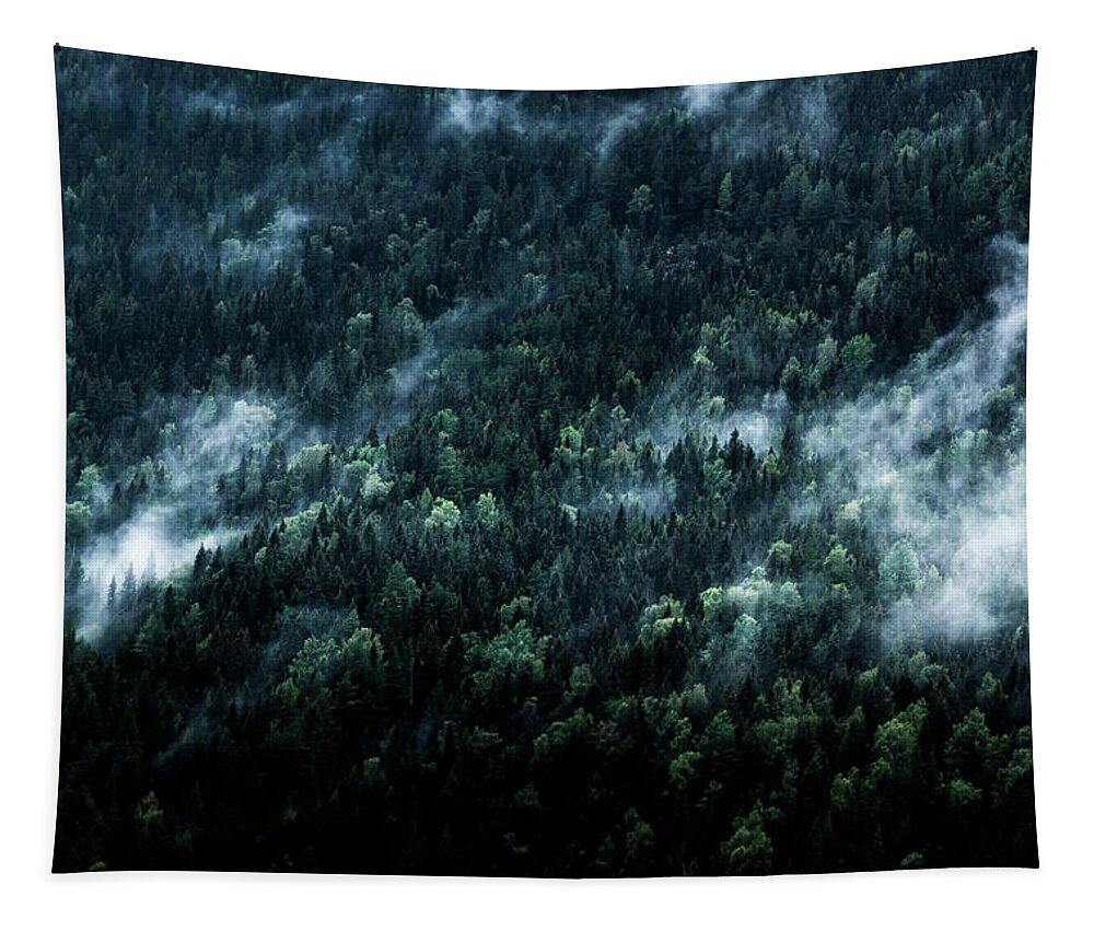 Fog Tapestry featuring the photograph Foggy Forest Mountain by Nicklas Gustafsson